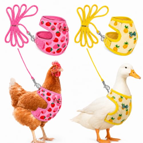 Frienda 2 Pcs Adjustable Chicken Harness and Leash Set Spring Summer Comfortable Elastic Hen Vest Breathable Harness for Hens Duck Goose Pet Training Walking Supplies(Pineapple, Strawberry,Medium) - size: Medium
