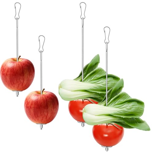 4PCS Bird Cage Food Holder, Stainless Steel Bird Feeder for Cage with Hook, 22cm/17cm Parrot Fruit Skewers, 2 Sizes Hanging Foraging Toy for Macaw Parakeet Parrot Budgie