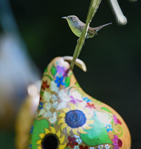 Natural Gourd Birdhouses Set of 3 – Hanging Bird Houses for Wrens & Small Birds, 1.5 Inch Entrance, Outdoor Nesting Gourds, Weather-Sealed