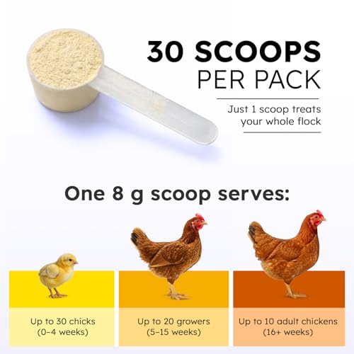 Probiotics for Chickens & Poultry – Digestive & Gut Health Support with Prebiotics & Brewer's Yeast, Chicken Vitamins and Supplements (30 Scoops/Up to 300 Servings)