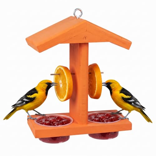 Oriole Feeder, Oriole Feeders for Outdoors, Wooden Feeder for Oriole Birds with Double Cup for Jelly or Jam,Fruit,Nectar or Seed, Orange