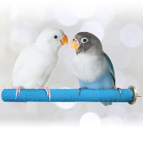 SunGrow Wooden Bird Perch, 8 inches, Quartz Sand Covered, Blue Perch for Lovebirds, Budgies, Finches & Small Birds