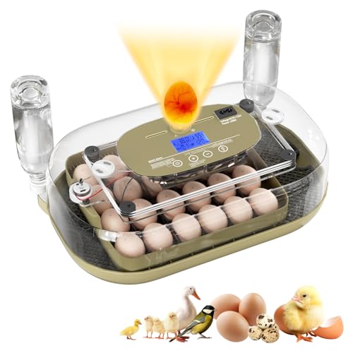 XOTTI Incubator for Hatching Eggs, 24 Egg Incubator with Precise Temperature Control, Auto Egg Turner, 360° Clear View, LED Candler, Alarm for Chicken Duck Quail Goose for Home School Farm Lab - size: 24 Eggs