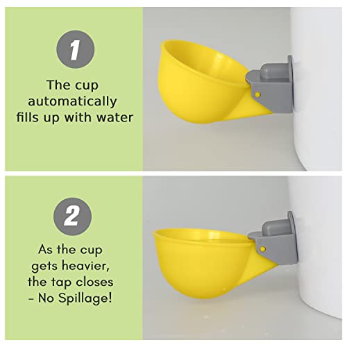 (6 Cups) Chicken Water Cups Feeder, Automatic Chicken Waterer, Anti-Leak System, Holds 50% More Water, Suitable for Chicks, Chicken, Duck, Quail, Turkey