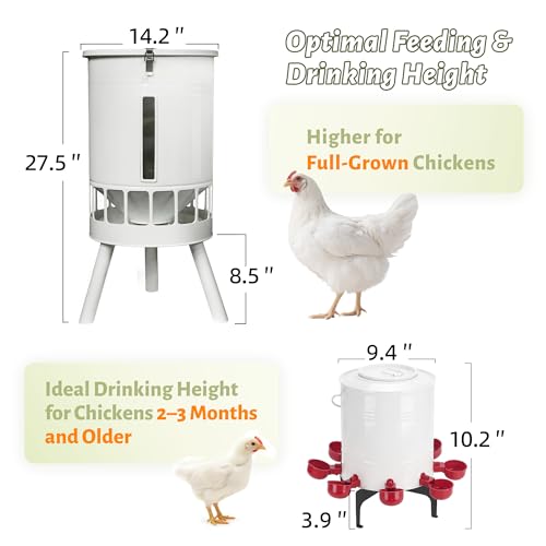 KOL 50LB Chicken Feeder & 3 Gallon Chicken Waterer Set, All-Metal 16 Port Feeder + 8 Cup Auto Waterer, No Waste, Weatherproof Poultry Feeding System Chicken Coop Accessories