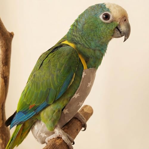 Bird Flight Harness Vest, Snap-Fastener Design Harness Vast, Bird Flying Clothes with Rope and Handle for Parakeets Cockatiels Conures Budgies（Blue Heart - Vest + Traction S - color: Blue Heart, size: S