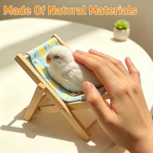 DRESSO Bird Toys for Parakeets Cockatiels Conures Lovebirds - 4PCS Parrot Training Toy Set with Mini Shopping Cart, Rattle, Ring Stacker & Beach Chair, Fun Bird Interactive Toys Set