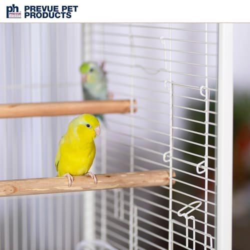 Prevue Pet Products Clear View Glass Standing Bird Cage - White | Ideal for Small Birds like Parakeets, Budgies, Finches, Cockatiel, & Lovebirds, Stand-Alone Birdcage - size: 24.5"L x 16.5"W x 21.7"H