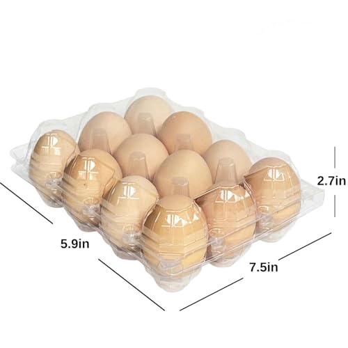 100-Pack of 12-Count Plastic Egg Cartons – Bulk Clear Reusable Egg Containers Holds Chicken Eggs | Eggs 12 Count,Egg Cartons Cheap Bulk,Suitable for farms, markets and families.