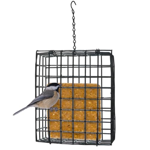 Birds Choice Seed & Suet Block Cage Feeder | Hanging Bird Suet Feeder for Woodpeckers, Jays, Nuthatches | Durable Vinyl Coated Grid with Chain | Easy Mount for Trees or Decks | 8" L x 3" W x 7" H | Durable Vinyl Coated Grid with Hanging Chain, Easy Mount