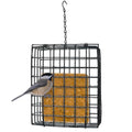 Birds Choice Seed & Suet Block Cage Feeder | Hanging Bird Suet Feeder for Woodpeckers, Jays, Nuthatches | Durable Vinyl Coated Grid with Chain | Easy Mount for Trees or Decks | 8" L x 3" W x 7" H | Durable Vinyl Coated Grid with Hanging Chain, Easy Mount
