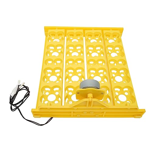 Automatic Egg Turner Tray - Multifunction Incubator Tray for 16 Duck Eggs, 72 Quail Eggs (DC12V) - size: DC12V
