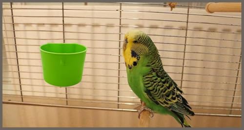 10 Pack Cage Cups Birds Feeders Seed Bowl Chicken Feeding Watering Dish Rabbit Water Food Hanging Wire Cages Box 8oz Coop Cups for Pet Parrot Parakeet Gamefowl Poultry Pigeon (Green) - size: 10PCS Green