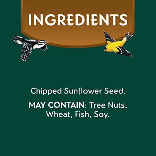 Morning Song Sunflower Hearts & Chips Wild Bird Food, No Mess Sunflower Seeds for Birds, 5.5-Pound Bag | No Mess Sunflower Seeds for Birds - size: 5.5 Pound (Pack of 1), style: 5.5 Pounds (Hearts & Chips)