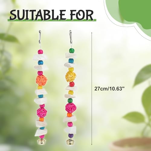 Bird Toys with Cuttlebone, Grinding Stone for Bird, 2 Pcs, C | Prevent Destructive Chewing, Colorful，White - style: Style C