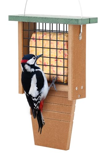 Gtongoko Recycled Plastic Suet Bird Feeder for Outside Hanging, Woodpecker Suet Feeder with Tail Prop, Hanging Suet Holder Birdfeeders, 1 Pack, Green