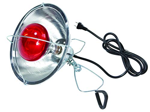 Little Giant® Brooder Reflector Lamp | Heat Lamp for Baby Chicks | 10.5 inch | 250 Watt | Egg Heat Light