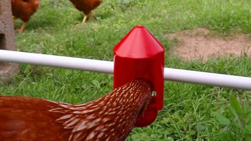 RentACoop Anti-Dirt Chicken Water Cup Covers - 6 Pack