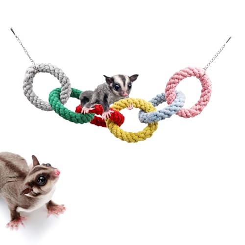 Sugar Glider Hanging Toy - Colorful 6-Ring Climbing & Swing Set for Cages, Cage Accessories for Small Animals Birds Parrots Parakeets Cockatiels Ferrets Hamsters Rats - size: 6 rings(18.9 Inch)