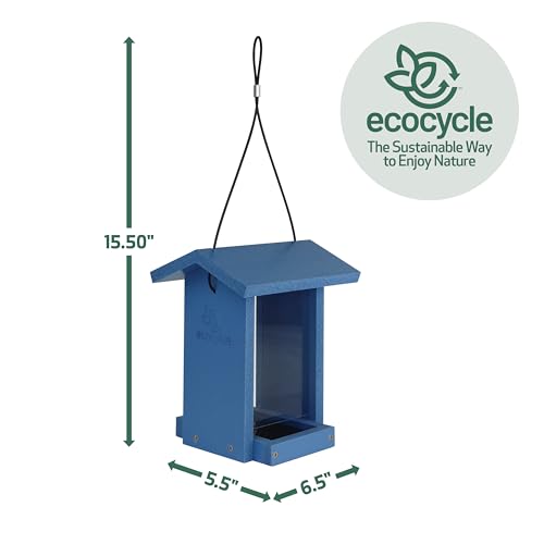 Tasty Tidbit Recycled Plastic Bird Feeder with Fresh Seed Tray for Wild Birds and Outdoor Décor, 0.875 Quart Capacity, Blue