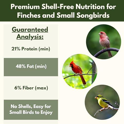 Freebird Premium No Mess Bird Seed for Outdoor Feeders - 7 lb | Shell-free blend with sunflower hearts and peanut pieces for less waste and cleaner feeders. Premium no-mess wild bird food.