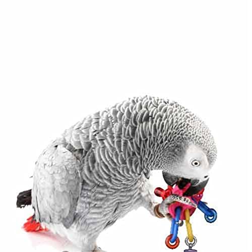 Super Bird Creations SB591 UFO Bird Foot Toy, Medium Bird Size, 5" x 2"