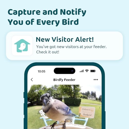 NETVUE by Birdfy Smart Bird Feeder with AI Camera, Auto Capture Videos & Live Steam, Wireless Wildbird Watching, Outdoor Backyard Birder(AI by Subscription) Yellow - color: Yellow