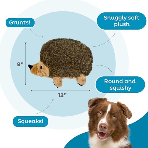Outward Hound Hedgehogz Plush Dog Toy, Squeaks & Grunts, XL, 12" x 9" | Soft Realistic Faux Fur, Round for Rolling & Chasing, Cuddle & Carry, Interactive Fetch, Light Chewers, Dogs & Puppies - size: X Large (Pack of 1)