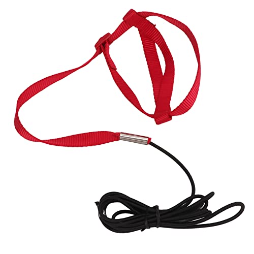 Elastic Parrot Harness Leash Bird Leash Bite Proof Harness Adjustable Parrot Flying Training Rope with Metal Hook Nylon Webbing for Cockatiels Walking (L) - size: L