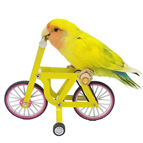 QBLEEV Bird Intelligence Training Toy - Parrot Puzzle Bicycle for Birds | Trick prop training education interactive table top & foot talon toy for african grey cockatoo conures cockatiel quaker - size: Small
