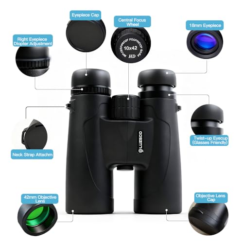10x42 HD Binoculars for Adults High-Powered – Waterproof Binoculars with Clear Wide View, Lightweight for Bird Watching, Hunting, Hiking & Sports, with Carrying Bag