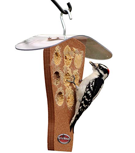 Peanut Butter Feeder with Clear Roof (Chocolate) | Clear Roof