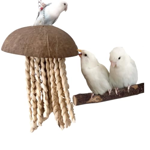 Bird Chew Toys, Coconut Shell with Corn Husks for Parrot Beak Grinding, Coconut Shell Shredding Toy for Parakeet Lovebird Conure Budgies Cockatiel (1-Pack) - color: 1-Pack