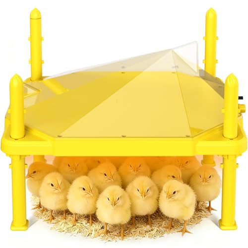 Chick Brooder Heating Plate, 14"x11"Adjustable Temperature & Height Heating Plate for Chicken with Anti-Roost Cone, Easy-Clean Poultry Coop Heater for Up to 18-22 Chicks (Yellow)