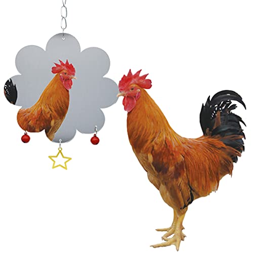 Chicken Toys for Hens Birds Swing Hanging Mirror Toys with Bells Star Pendant for Rooster Parrot Suspending Pecking Toy Chicken Pecking Toy