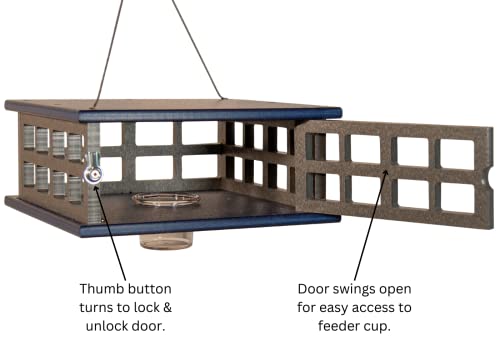 Recycled Poly Lumber Caged Platform Bluebird Mealworm Feeder (Gray/Blue) - color: Gray/Blue