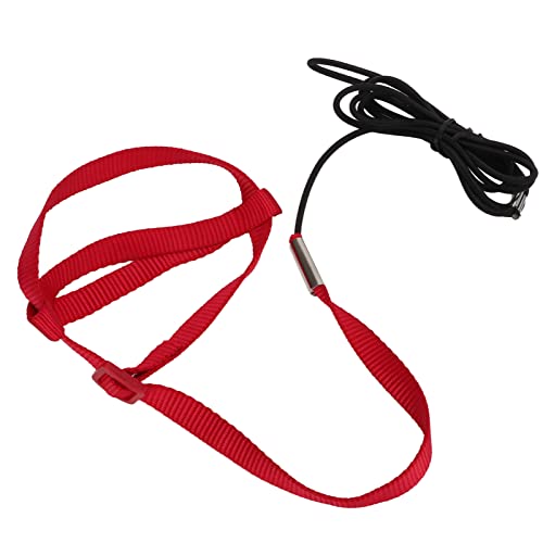 Elastic Parrot Harness Leash Bird Leash Bite Proof Harness Adjustable Parrot Flying Training Rope with Metal Hook Nylon Webbing for Cockatiels Walking (S) - size: S
