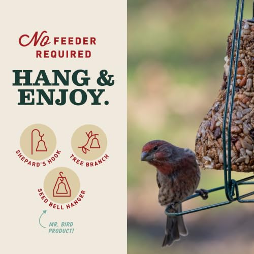 Mr. Bird Bugs, Nuts & Fruit Wild Bird Seed Bell, 2-Pack, 12.5 oz | Premium Blend of Mealworms, Sunflower Hearts & Cranberries | No Melt | Handcrafted in Texas - size: 12.5 Ounce (Pack of 2)