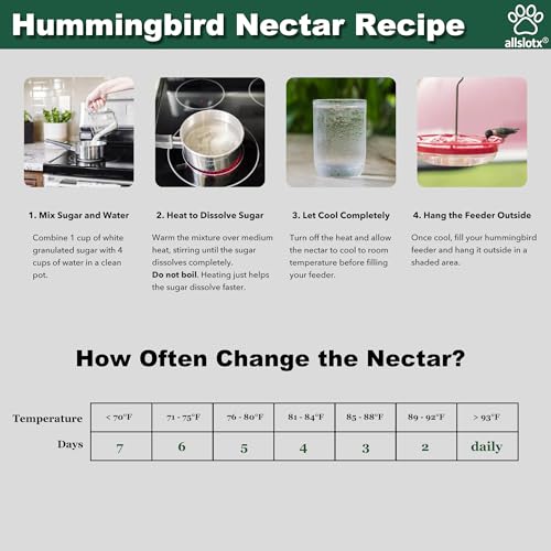 Hummingbird Feeders for Outdoors Hanging (2 Pack) 25 Ports 16 oz Nectar Capacity, Ant Wasp Bee Proof, Leak-Proof with Sealing Ring, Reinforced Hanging Hook, Easy to Clean by Includes Cleaning Brushes - size: 16 oz