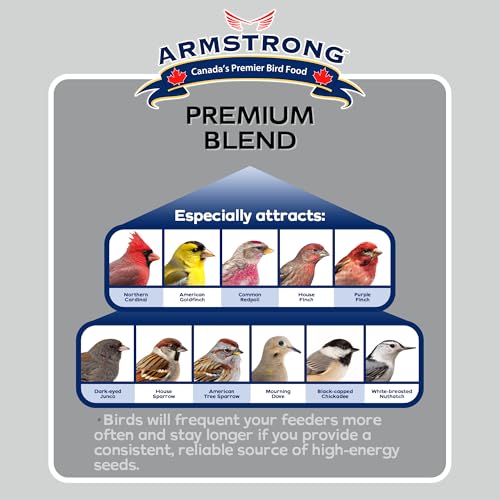Armstrong Wild Bird Food Premium Blend, 30.8 Pounds - with White Millet, Black Oil Sunflower, Wheat, Peanuts, Striped Sunflower and Safflower for Northern Cardinals and Black-Capped Chickadees - size: 30.8 Pound (Pack of 1)