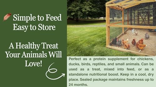 kimoe Non-GMO Bulk Dried Mealworms 10LB Bag for Chickens, Ducks & Wild Birds — 100% Natural High-Protein Feed to Boost Egg Production, Feather Health & Immunity - size: 10 Pound (Pack of 1)