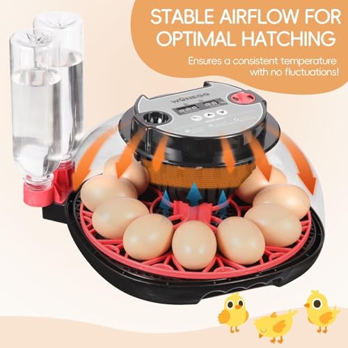 Series II - 12 Egg Automatic Incubator for Beginners, Smart Adaptive Humidity (Dual-Bottle) & Auto Temp Control, Auto Egg Turn, Real-Time Display, Candler, 360° View for Hatching Poultry Eggs - size: 12-Egg Black+Red
