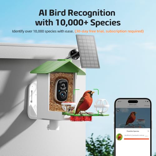 Bird Feeder with Camera, 2K HD Smart Birds Feeder with Solar Panel, AI Bird-Recognition, Instant Motion Alerts, Auto Capture BirdVideos, Outdoor Birdhouse Feeder Gift for Bird Lovers - color: Green