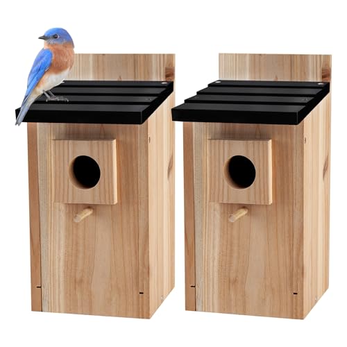 CARTMAN 0.5 Inch Thick Blue Bird Box House, Wood Bird Houses for Outside, Hummingbird House for Outside Clearance Garden Country Cottages, 2PK - style: Mailbox 2pk