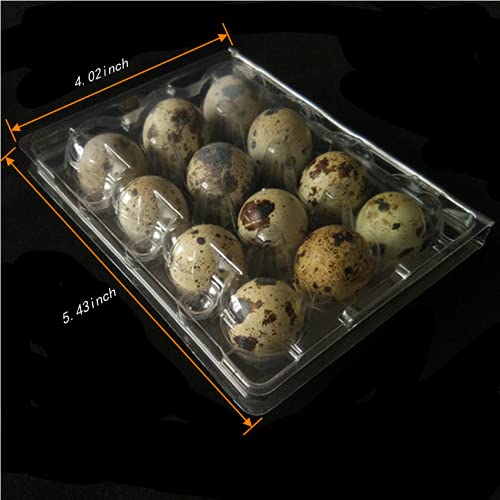 Quail Egg Cartons,12 Grids Small Egg Storage Holders,Quail Eggs Bulk Carton Trays & 2PCS Stainless Steel Cutter
