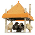 Chick Brooder Heating Plate with Anti-Roosting Cone Cover, 10" x 10" Brooder Heater for 10-12 Chicks, Adjustable Height & Angle, Safe Energy-Saving Radiant Heat, Prevents Roosting & Keeps Top Clean - size: 10.0"L x 10.0"W x 10.0"H