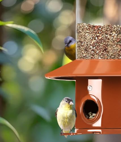 Squirrel Proof Bird Feeders for Outdoor: 4.8LB Large Capacity Hanging Bird Feeder, Weight-Activated Mechanism Wild Bird Feeders, Chew-Proof Metal Birdfeeder for Finch Cardinal Chickadee - color: Red Copper