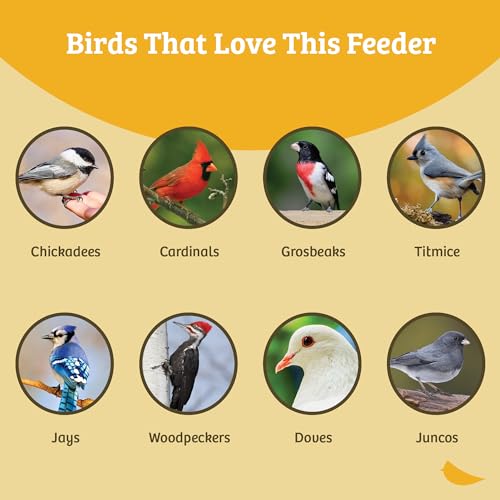 Birds Choice Classic Squirrel Proof Bird Feeder with Pole Mount | Tube Bird Feeder for Cardinals, Chickadees, Woodpeckers | Sturdy Steel for Long-Lasting Use | Backyard Bird Seed Dispenser | Green | Sturdy Steel Tube Seed Dispenser, for Cardinals, Chickad