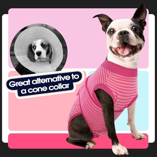 Recovery Suit for Dogs Post-Surgery,Dog Surgery Suit Female Spay | Dog Onesie for Surgery Female Collar Cone Alternative Surgical Shirt,Male Dog Neuter Suits Rose Stripes XS - color: Rose Stripes, size: Xs(back:8.3-11.4in,wt:4-7lbs)