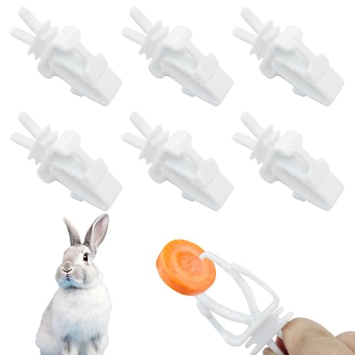Zorfeter Bird Cage Food Holder, 6 Pack | Fruit Clip Vegetable Clip Feeder Clip, Parrot Cage Clip, For Budgie Parakeet Cockatoo Macaw Cockatiel Conure